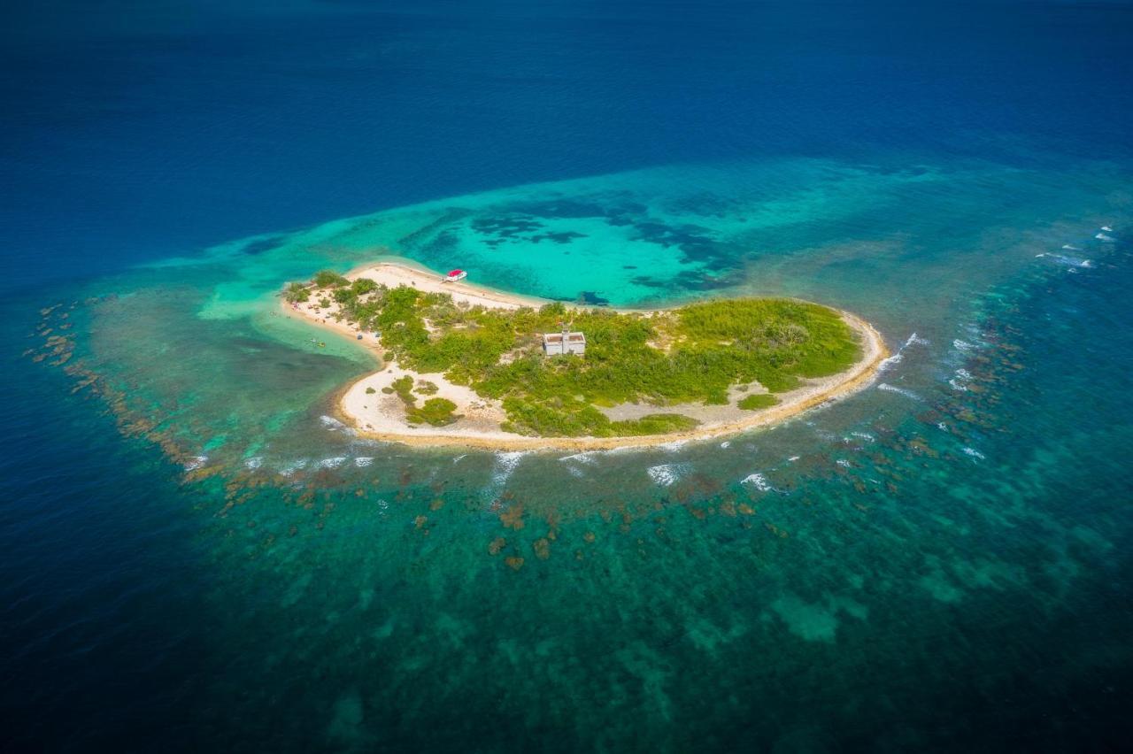 Oasis In The South Of The Island With Free Parking And Laundry Appartement Ponce Buitenkant foto